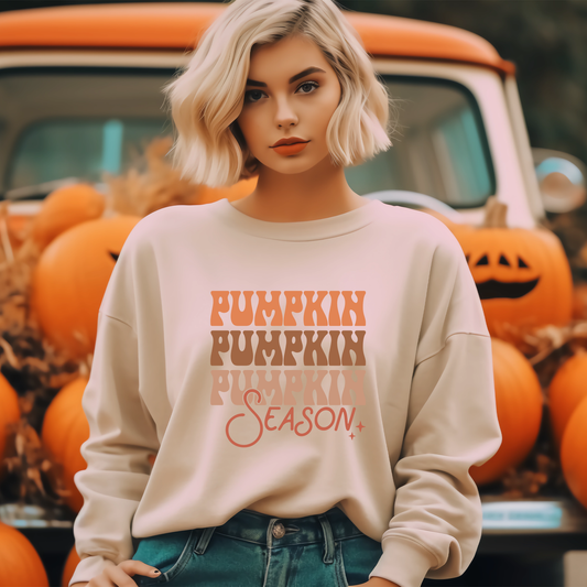 Pumpkin Season Jumper for Her